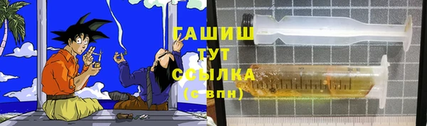 шишки Надым