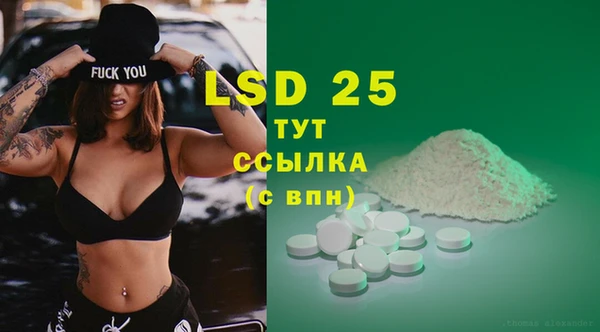 шишки Надым