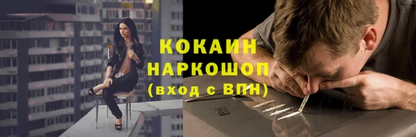 шишки Надым