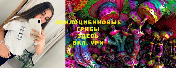 шишки Надым