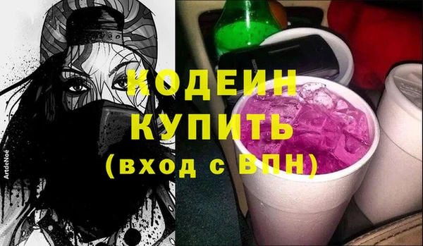 шишки Надым