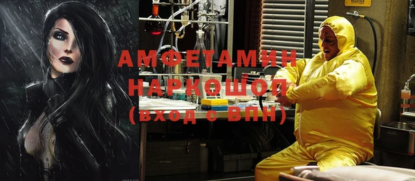 шишки Надым