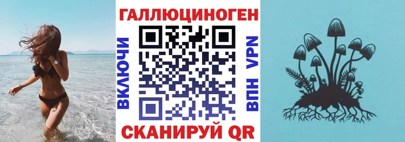 Галлюциногенные грибы прущие грибы  hydra вход  Павловская 