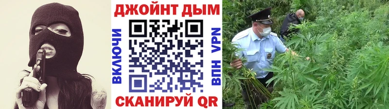 Бошки Шишки Bruce Banner  Павловская 
